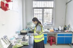 2025年肇庆超额完成食用农产物快检和食物抽检使